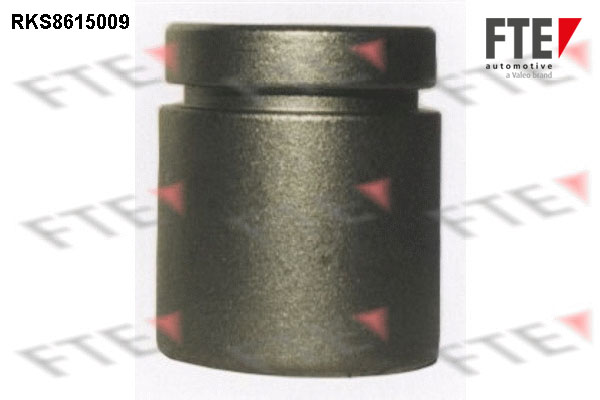 Remzadel/remklauw zuiger FTE 9313004
