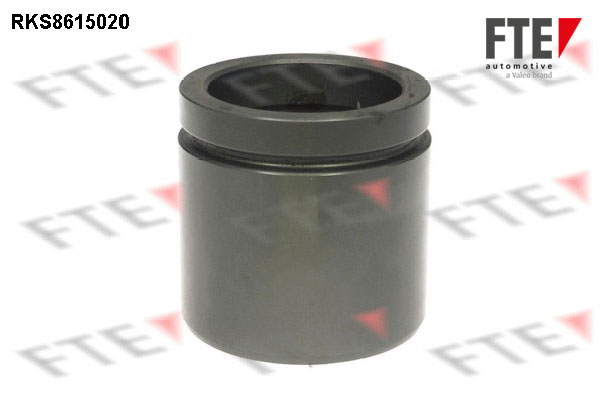 Remzadel/remklauw zuiger FTE 9313136