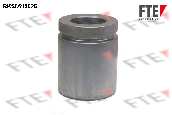 Remzadel/remklauw zuiger FTE 9313141