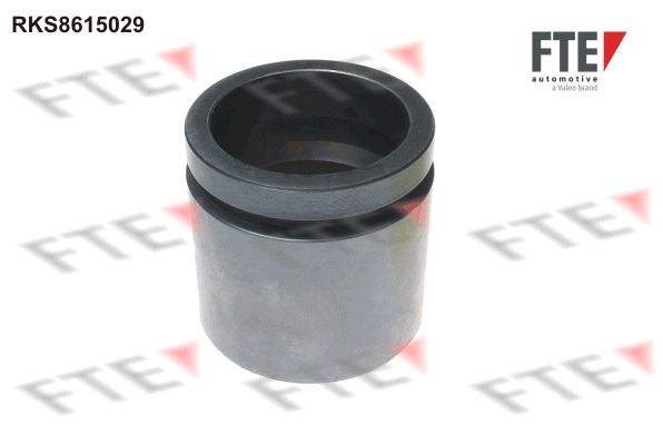 Remzadel/remklauw zuiger FTE 9313144