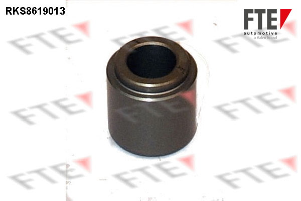 Remzadel/remklauw zuiger FTE 9313156