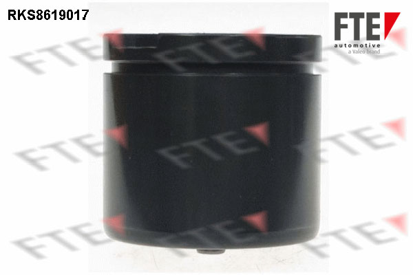 Remzadel/remklauw zuiger FTE 9313159