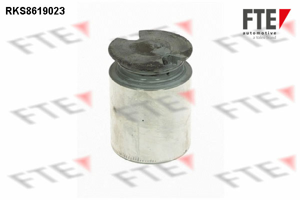 Remzadel/remklauw zuiger FTE 9313165