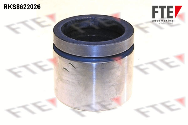 Remzadel/remklauw zuiger FTE 9313185