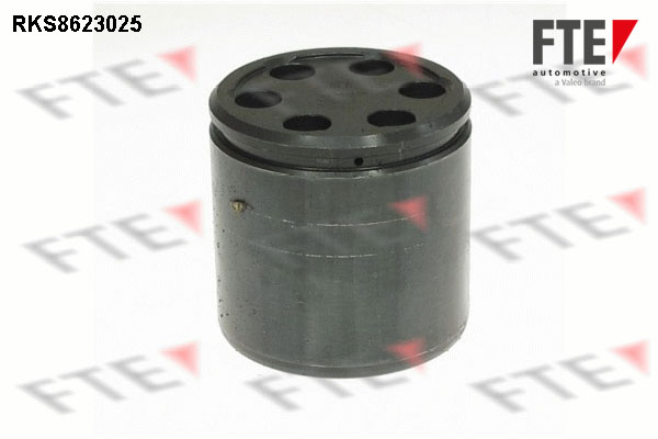 Remzadel/remklauw zuiger FTE 9313208