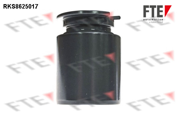 Remzadel/remklauw zuiger FTE 9313224