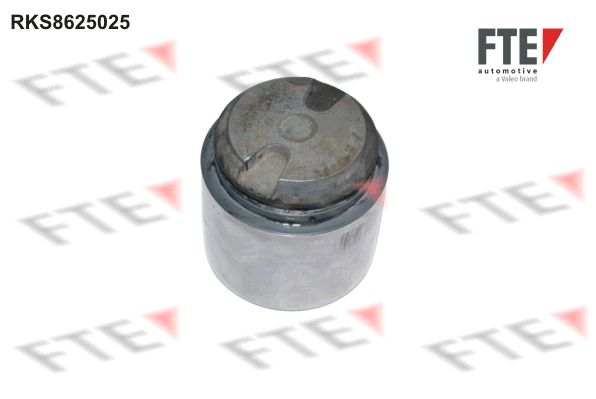Remzadel/remklauw zuiger FTE 9313229