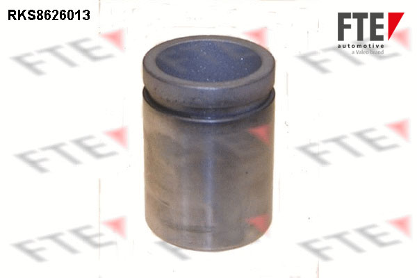 Remzadel/remklauw zuiger FTE 9313235