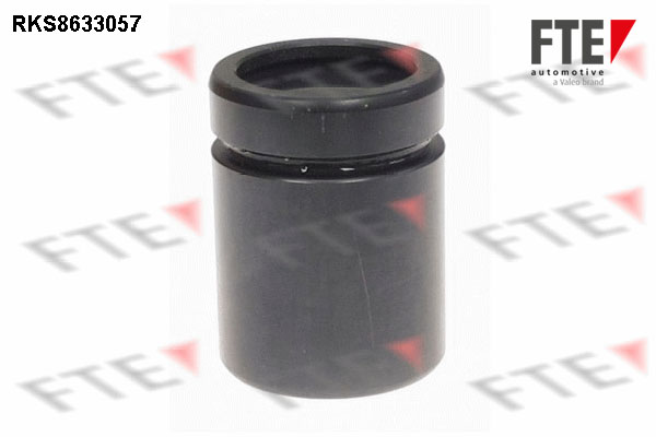 Remzadel/remklauw zuiger FTE 9313296