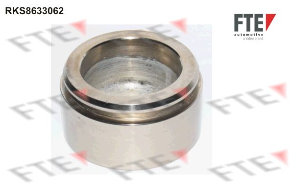 Remzadel/remklauw zuiger FTE 9310003
