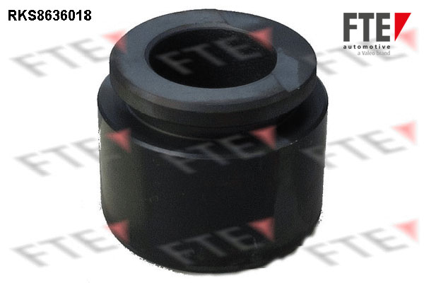 Remzadel/remklauw zuiger FTE 9313057