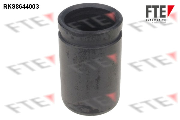 Remzadel/remklauw zuiger FTE RKS8644003