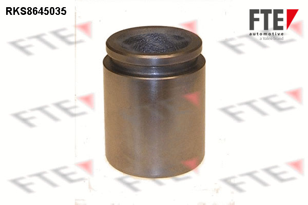 Remzadel/remklauw zuiger FTE 9313409