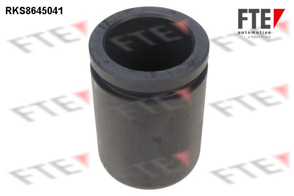Remzadel/remklauw zuiger FTE 9313074