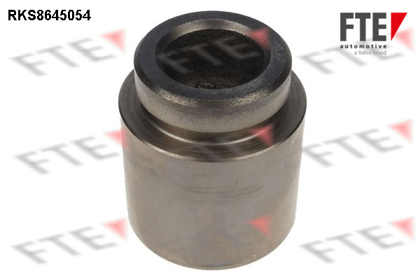 Remzadel/remklauw zuiger FTE 9313423