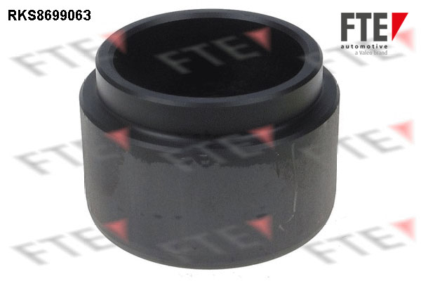 Remzadel/remklauw zuiger FTE 9313514