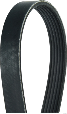 Poly V-riem Herth+Buss Jakoparts J1061165