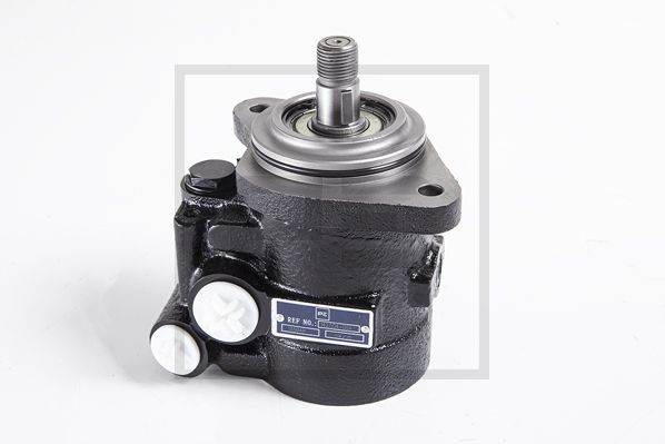 Servopomp Pe Automotive 142.504-00A