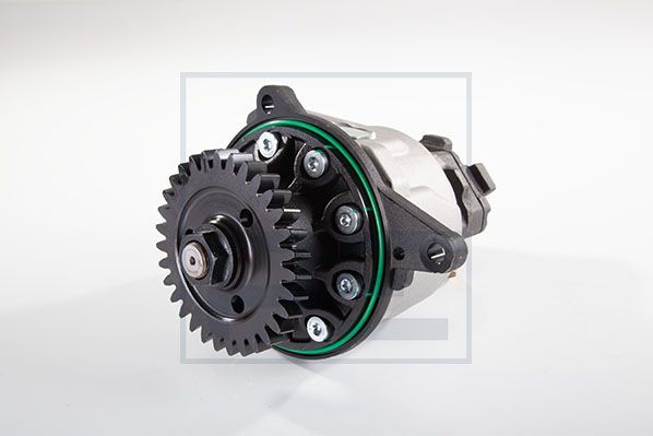 Servo pomp Pe Automotive 252.500-00A