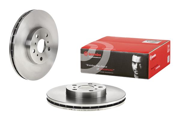 Brembo Remschijven 09.6806.10