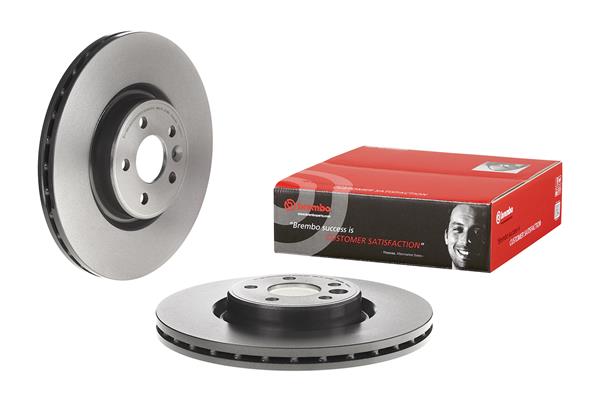 Brembo Remschijven 09.9586.11