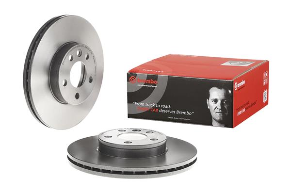 Brembo Remschijven 09.9931.11
