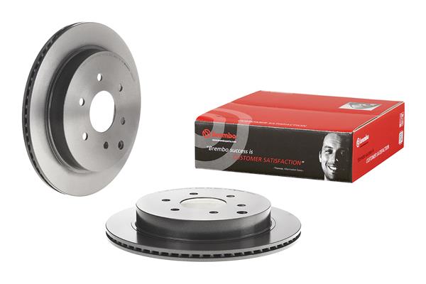 Brembo Remschijven 09.B631.11