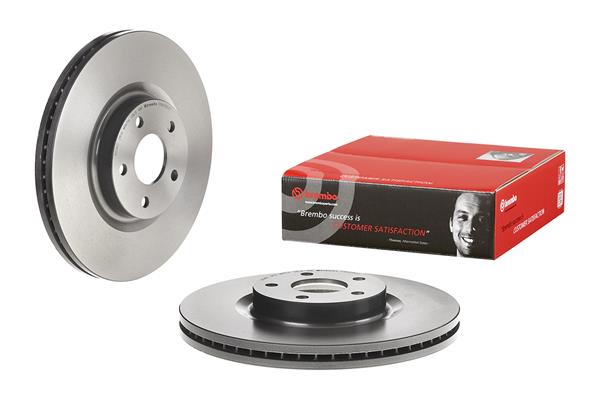 Brembo Remschijven 09.N256.21