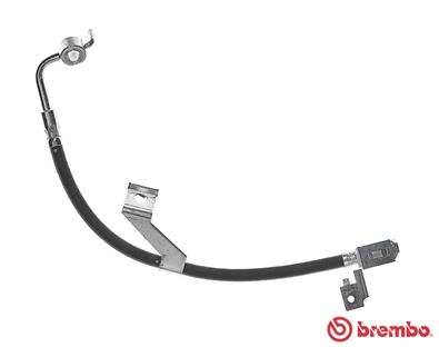 Remslang Brembo T 24 082