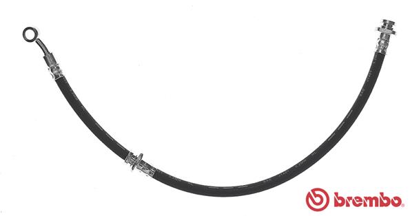 Remslang Brembo T 56 123