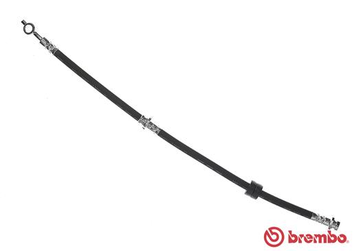 Remslang Brembo T 56 137