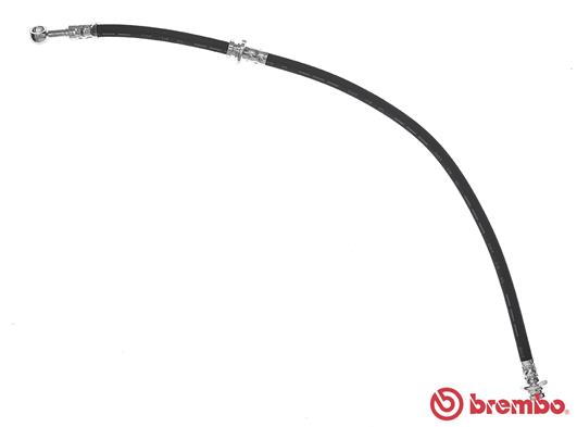 Remslang Brembo T 56 150