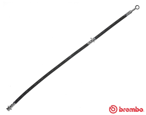Remslang Brembo T 56 151