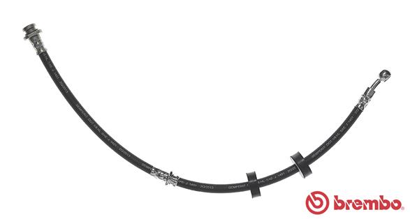 Remslang Brembo T 79 017