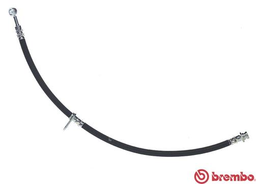 Remslang Brembo T 79 042