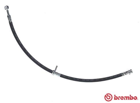 Remslang Brembo T 79 043