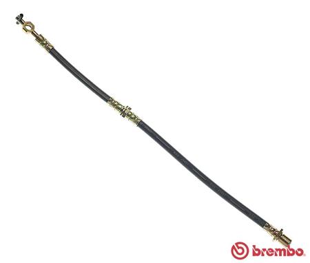 Remslang Brembo T 83 033