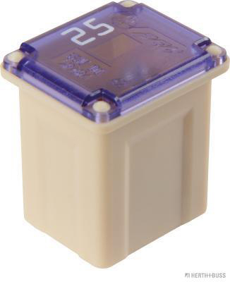 Zekering Herth+Buss Elparts 50295331