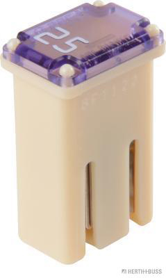 Zekering Herth+Buss Elparts 50295354