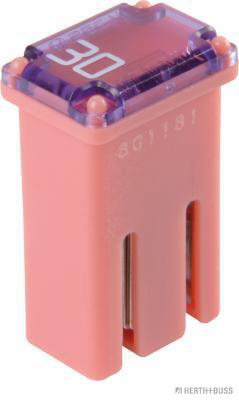 Zekering Herth+Buss Elparts 50295355