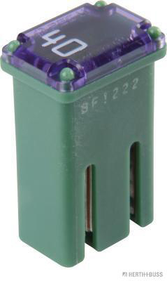 Zekering Herth+Buss Elparts 50295356