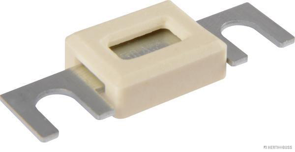 Zekering Herth+Buss Elparts 50295369