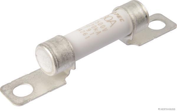 Zekering Herth+Buss Elparts 50295387