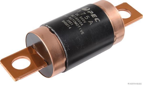 Zekering Herth+Buss Elparts 50295392