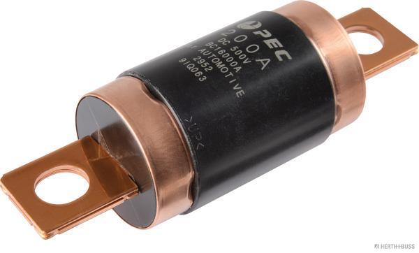 Zekering Herth+Buss Elparts 50295393