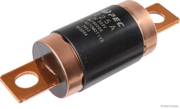 Zekering Herth+Buss Elparts 50295394