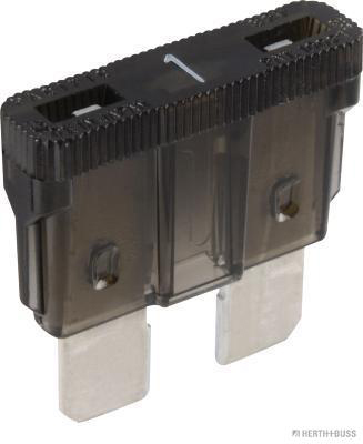 Zekering Herth+Buss Elparts 50295401