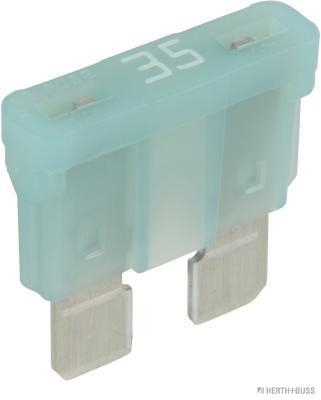 Zekering Herth+Buss Elparts 50295431066