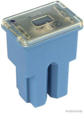 Zekering Herth+Buss Elparts 50295432