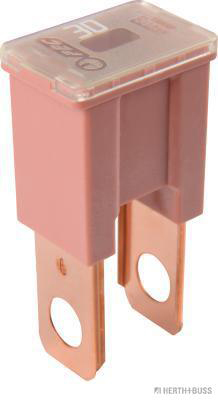 Zekering Herth+Buss Elparts 50295443